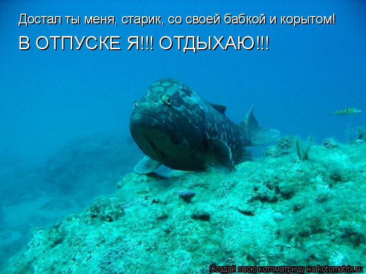 Достал ты меня, старик, со своей бабкой и корытом! В ОТПУСКЕ Я!!! ОТДЫХАЮ!!!... Котоматрица: Достал ты меня, старик, со своей бабкой и корытом! В ОТПУСКЕ Я!!! ОТДЫХАЮ!!!