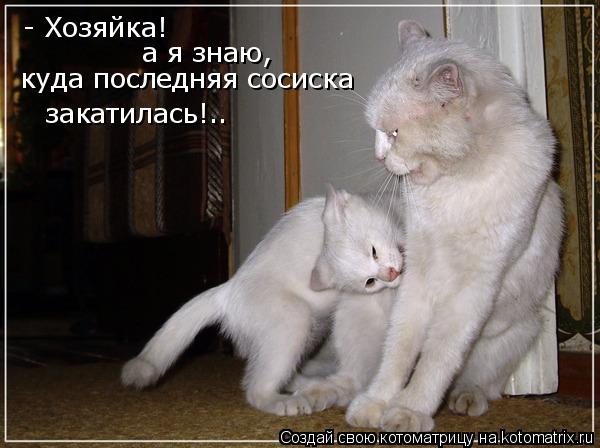 - Хозяйка! а я знаю, куда последняя сосиска закатилась!..... Котоматрица: - Хозяйка! а я знаю, куда последняя сосиска закатилась!..