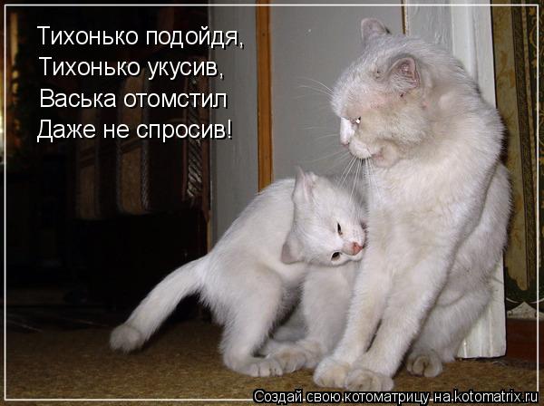 Тихонько подойдя, Тихонько укусив, Васька отомстил Даже не спросив!... Котоматрица: Тихонько подойдя, Тихонько укусив, Васька отомстил Даже не спросив!