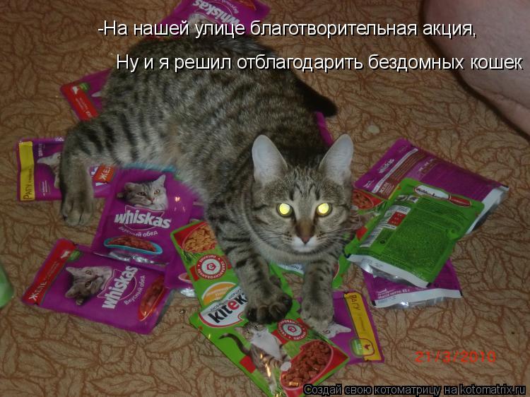 Котоматрица: -На нашей улице благотворительная акция, Ну и я решил отблагодарить бездомных кошек