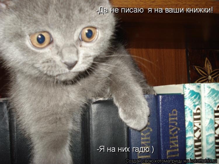 -Да не писаю я на ваши книжки! -Я на них гадю )... Котоматрица: -Да не писаю я на ваши книжки! -Я на них гадю )