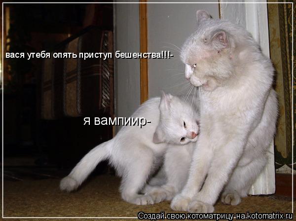 я вампиир- вася утебя опять приступ бешенства!!!-... Котоматрица: я вампиир- вася утебя опять приступ бешенства!!!-