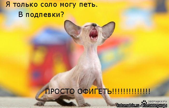 Я только соло могу петь. В подпевки? ПРОСТО ОФИГЕТЬ!!!!!!!!!!!!!!... Котоматрица: Я только соло могу петь. В подпевки? ПРОСТО ОФИГЕТЬ!!!!!!!!!!!!!!