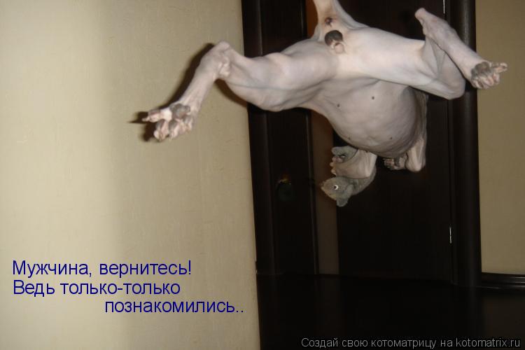 Мужчина, вернитесь! Ведь только-только познакомились..... Котоматрица: Мужчина, вернитесь! Ведь только-только познакомились..