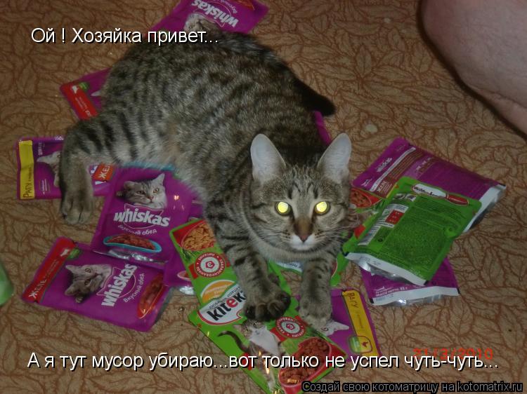 Ой ! Хозяйка привет... А я тут мусор убираю...вот только не успел чуть-чуть...... Котоматрица: Ой ! Хозяйка привет... А я тут мусор убираю...вот только не успел чуть-чуть...