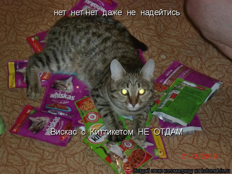 нет нет нет даже не надейтись Вискас с Киттикетом НЕ ОТДАМ... Котоматрица: нет нет нет даже не надейтись Вискас с Киттикетом НЕ ОТДАМ