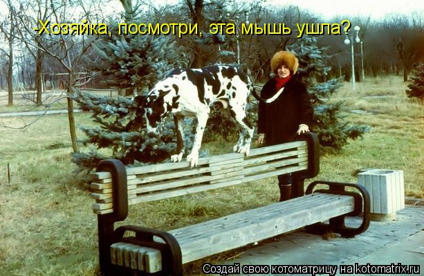 -Хозяйка, посмотри, эта мышь ушла?... Котоматрица: -Хозяйка, посмотри, эта мышь ушла?