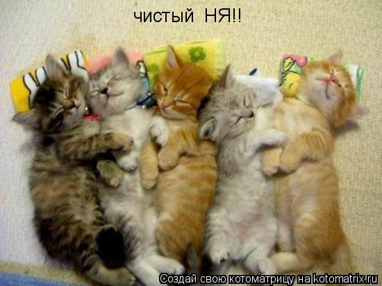 чистый НЯ!!... Котоматрица: чистый НЯ!!