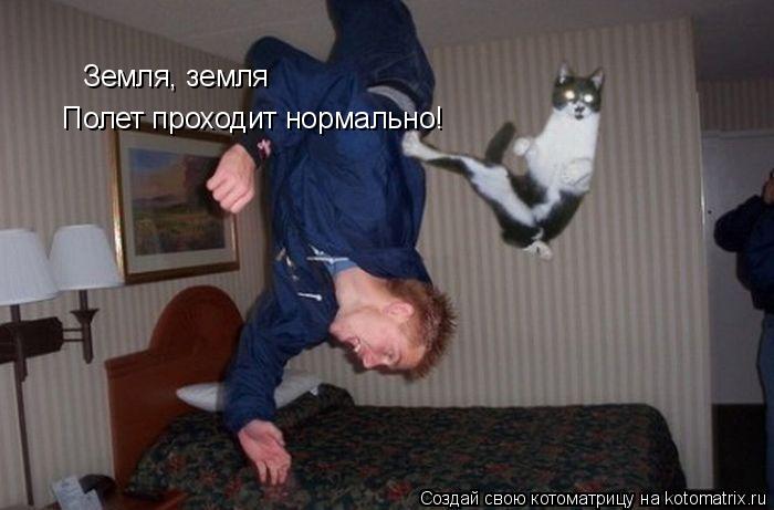 Земля, земля Полет проходит нормально!... Котоматрица: Земля, земля Полет проходит нормально!