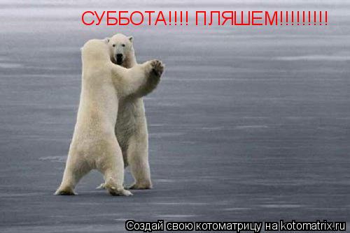 Котоматрица: СУББОТА!!!! ПЛЯШЕМ!!!!!!!!!