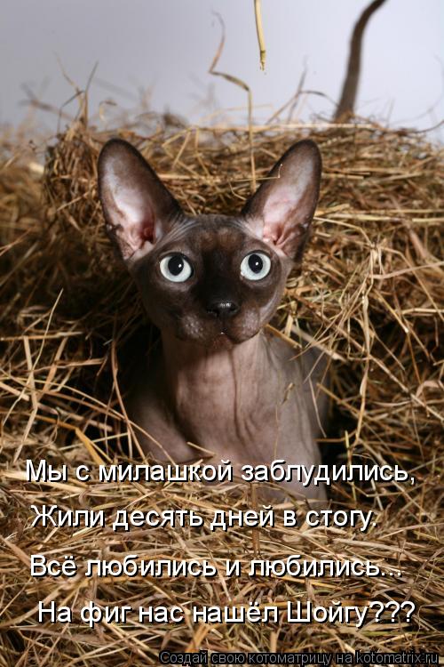 Мы с милашкой заблудились, Жили десять дней в стогу. Всё любились и любились... На фиг нас нашёл Шойг... Котоматрица: Мы с милашкой заблудились, Жили десять дней в стогу. Всё любились и любились... На фиг нас нашёл Шойгу???
