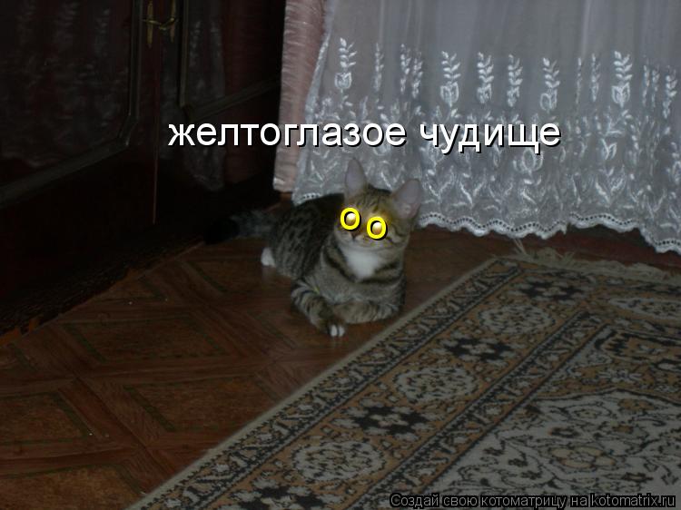 Котоматрица: о о желтоглазое чудище