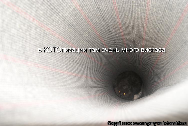 Котоматрица: в КОТОлизации там очень много вискаса