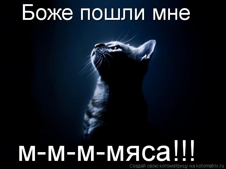 Котоматрица: Боже пошли мне м-м-м-мяса!!!