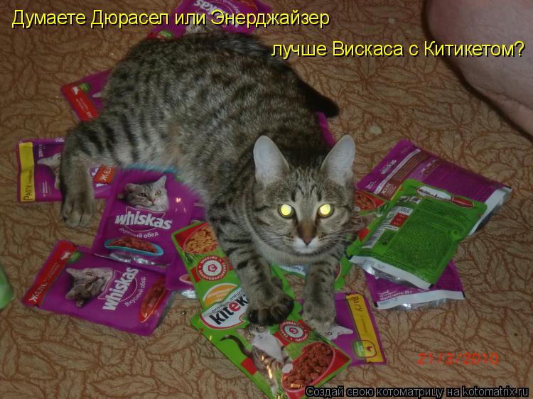 Котоматрица: Думаете Дюрасел или Энерджайзер  лучше Вискаса с Китикетом?