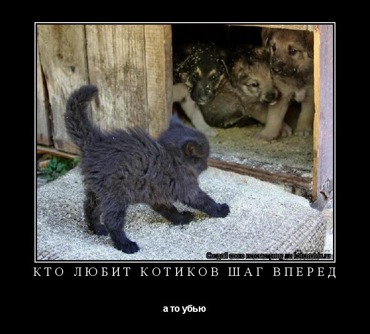 кто любит котиков шаг вперед а то убью... Котоматрица: кто любит котиков шаг вперед а то убью