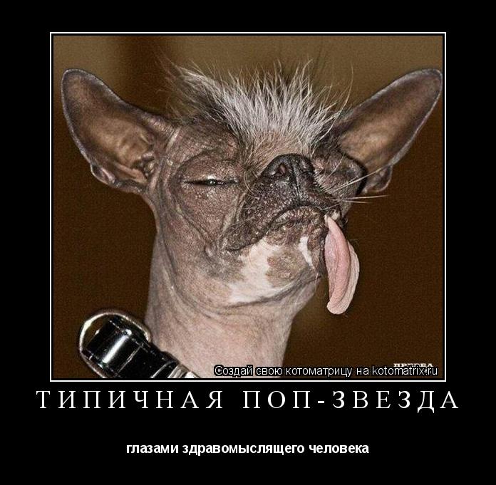 Типичная поп-звезда глазами здравомыслящего человека... Котоматрица: Типичная поп-звезда глазами здравомыслящего человека