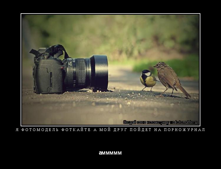 я фотомодель фоткайте а мой друг пойдёт на порножурнал аммммм... Котоматрица: я фотомодель фоткайте а мой друг пойдёт на порножурнал аммммм