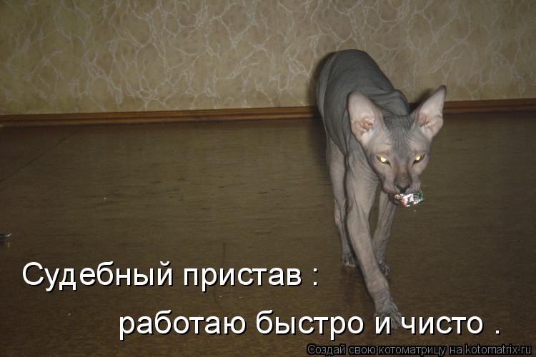 Котоматрица: Судебный пристав : работаю быстро и чисто .