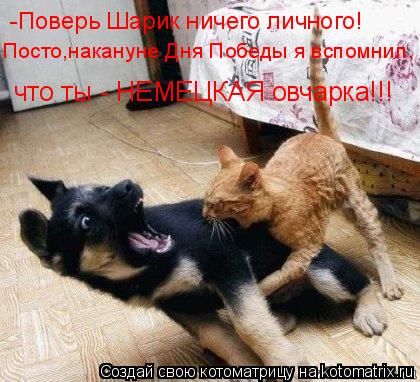 Котоматрица: -Поверь Шарик ничего личного! Посто,накануне Дня Победы я вспомнил, что ты - НЕМЕЦКАЯ овчарка!!!
