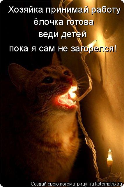 Котоматрица: Хозяйка принимай работу  ёлочка готова веди детей  пока я сам не загорелся!
