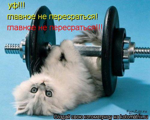 уф!!! главное не пересраться! главное не пересраться!!!... Котоматрица: уф!!! главное не пересраться! главное не пересраться!!!