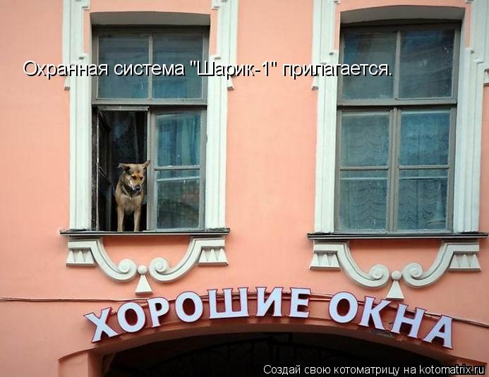 Охранная система "Шарик-1" прилагается.... Котоматрица: Охранная система "Шарик-1" прилагается.