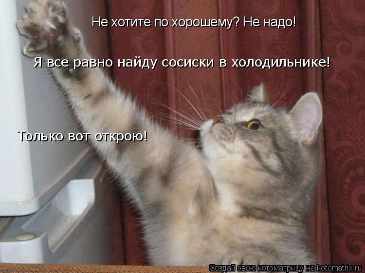 Котоматрица: Не хотите по хорошему? Не надо! Я все равно найду сосиски в холодильнике! Только вот открою!