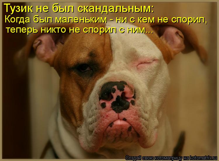 Котоматрица: Тузик не был скандальным: Когда был маленьким - ни с кем не спорил, теперь никто не спорил с ним...