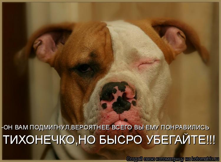 -ОН ВАМ ПОДМИГНУЛ,ВЕРОЯТНЕЕ ВСЕГО ВЫ ЕМУ ПОНРАВИЛИСЬ ТИХОНЕЧКО,НО БЫСРО УБЕГАЙТЕ!!!... Котоматрица: -ОН ВАМ ПОДМИГНУЛ,ВЕРОЯТНЕЕ ВСЕГО ВЫ ЕМУ ПОНРАВИЛИСЬ ТИХОНЕЧКО,НО БЫСРО УБЕГАЙТЕ!!!