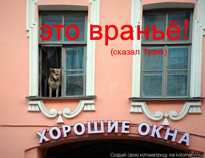 это враньё! (сказал Тузик)... Котоматрица: это враньё! (сказал Тузик)