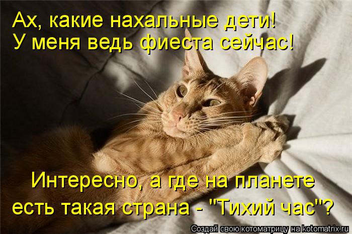 Ах, какие нахальные дети! У меня ведь фиеста сейчас! Интересно, а где на планете есть такая страна -... Котоматрица: Ах, какие нахальные дети! У меня ведь фиеста сейчас! Интересно, а где на планете есть такая страна - "Тихий час"?