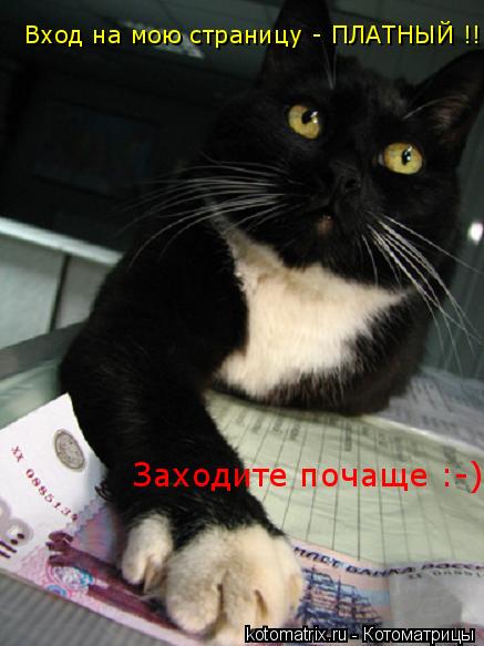 Вход на мою страницу - ПЛАТНЫЙ !!! Заходите почаще :-) !!!... Котоматрица: Вход на мою страницу - ПЛАТНЫЙ !!! Заходите почаще :-) !!!