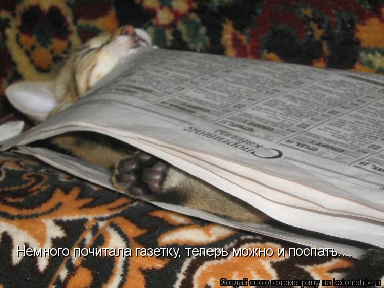 Немного почитала газетку, теперь можно и поспать....... Котоматрица: Немного почитала газетку, теперь можно и поспать....