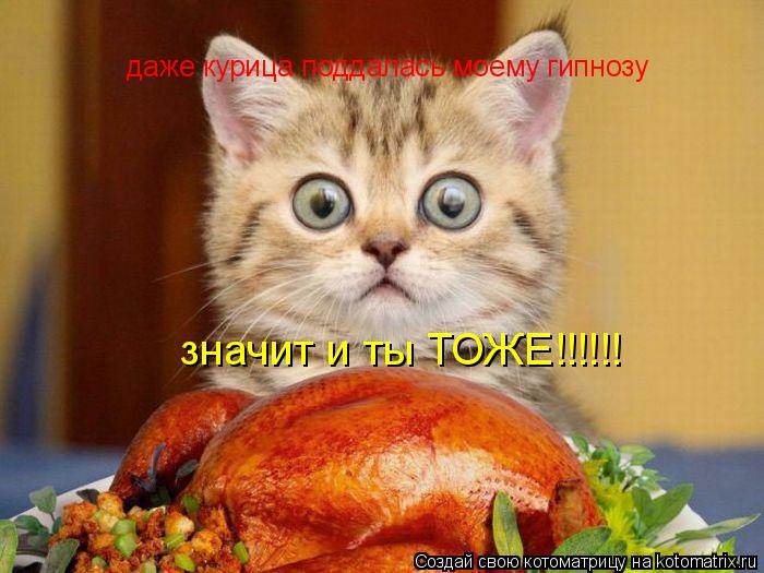 даже курица поддалась моему гипнозу значит и ты ТОЖЕ!!!!!!... Котоматрица: даже курица поддалась моему гипнозу значит и ты ТОЖЕ!!!!!!