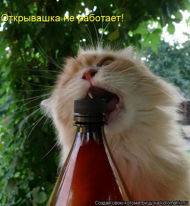 Открывашка не работает!... Котоматрица: Открывашка не работает!