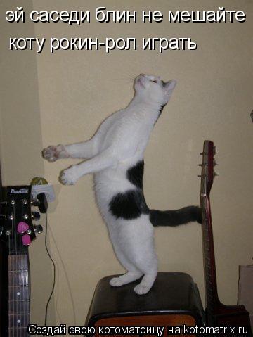 эй саседи блин не мешайте коту рокин-рол играть эй саседи блин не мешайте... Котоматрица: эй саседи блин не мешайте коту рокин-рол играть эй саседи блин не мешайте