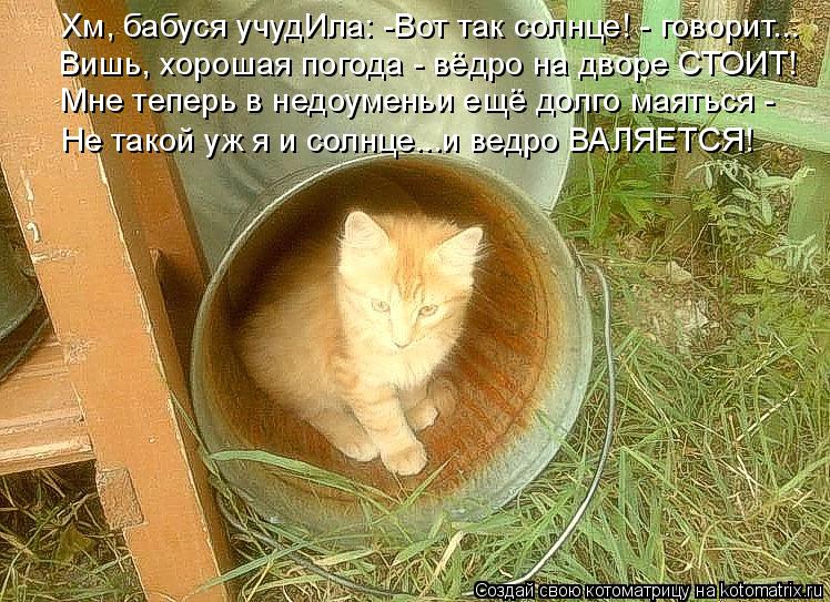 Мне теперь в недоуменьи ещё долго маяться - Не такой уж я и солнце...и ведро ВАЛЯЕТСЯ! Вишь, хорошая... Котоматрица: Мне теперь в недоуменьи ещё долго маяться - Не такой уж я и солнце...и ведро ВАЛЯЕТСЯ! Вишь, хорошая погода - вёдро на дворе СТОИТ! Хм, бабуся у