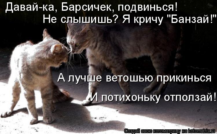 Котоматрица: Давай-ка, Барсичек, подвинься! Не слышишь? Я кричу "Банзай!" А лучше ветошью прикинься И потихоньку отползай!