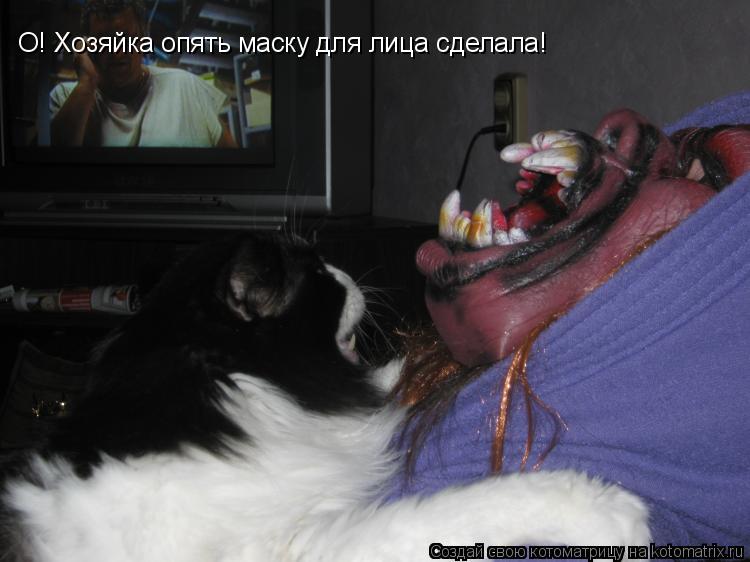 Котоматрица: О! Хозяйка опять маску для лица сделала!