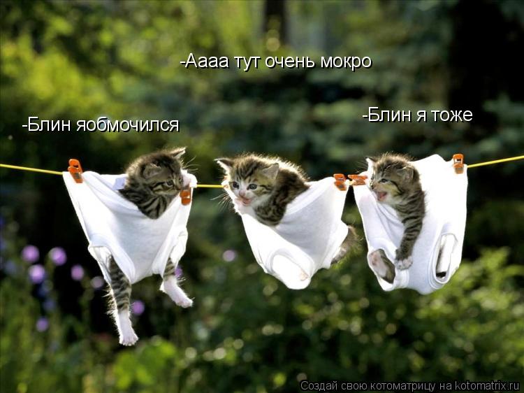 Котоматрица: -Блин яобмочился -Блин я тоже -Аааа тут очень мокро