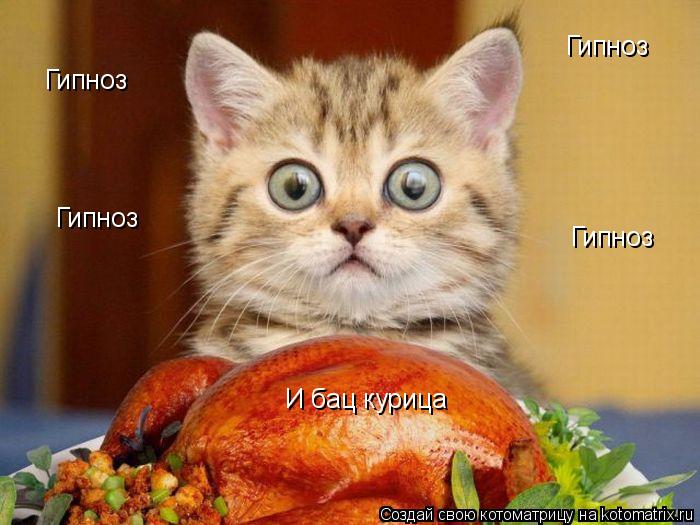 Котоматрица: Гипноз Гипноз Гипноз Гипноз И бац курица