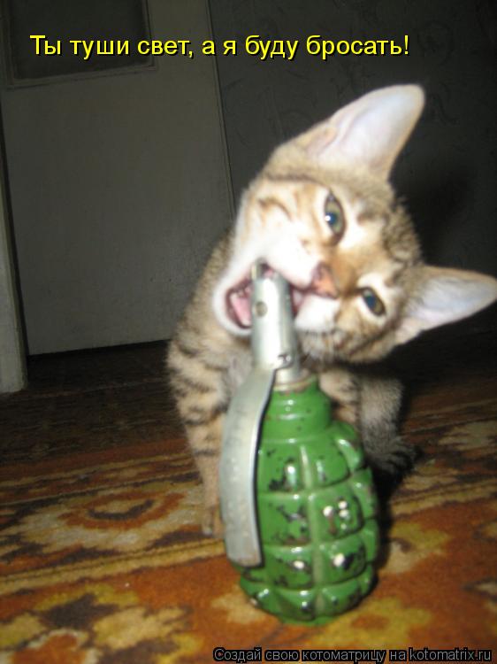 Котоматрица: Ты туши свет, а я буду бросать!