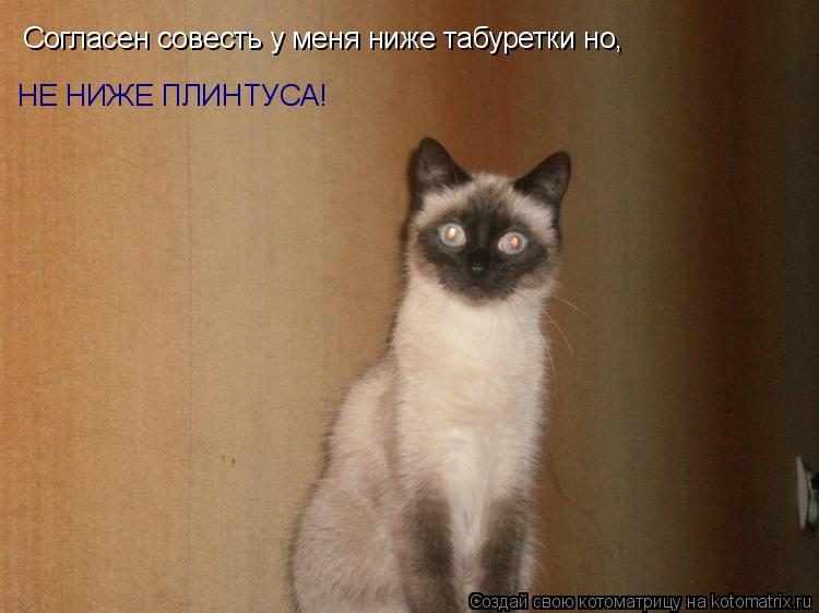 Котоматрица: Согласен совесть у меня ниже табуретки но,  НЕ НИЖЕ ПЛИНТУСА!