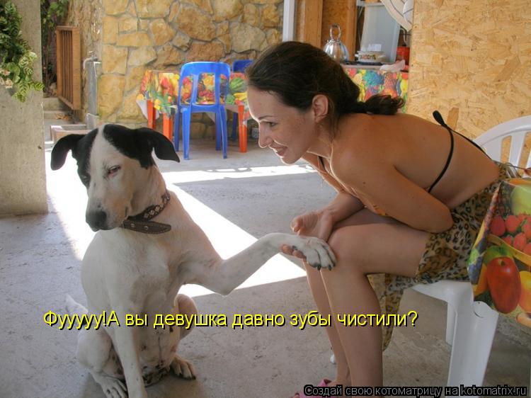 Котоматрица: Фууууу!А вы девушка давно зубы чистили?