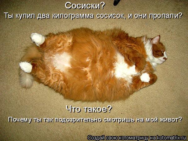 Котоматрица: Сосиски? Ты купил два килограмма сосисок, и они пропали? Что такое?  Почему ты так подозрительно смотришь на мой живот?