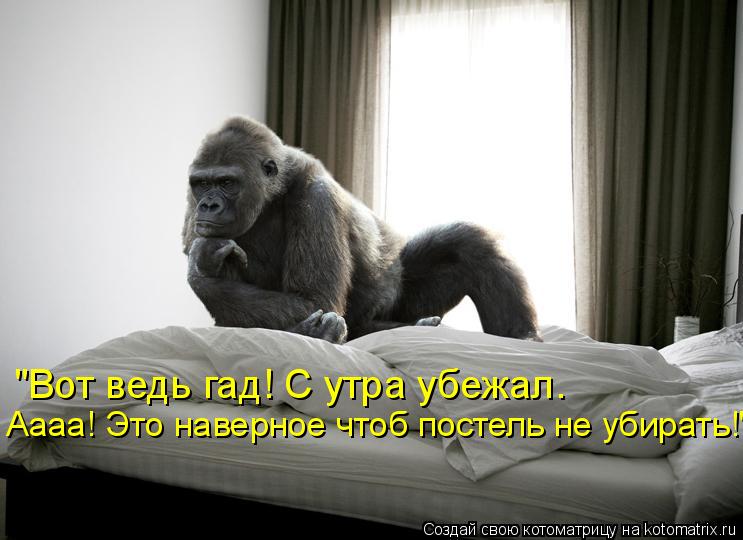 "Вот ведь гад! С утра убежал. Аааа! Это наверное чтоб постель не убирать!"... Котоматрица: "Вот ведь гад! С утра убежал. Аааа! Это наверное чтоб постель не убирать!"