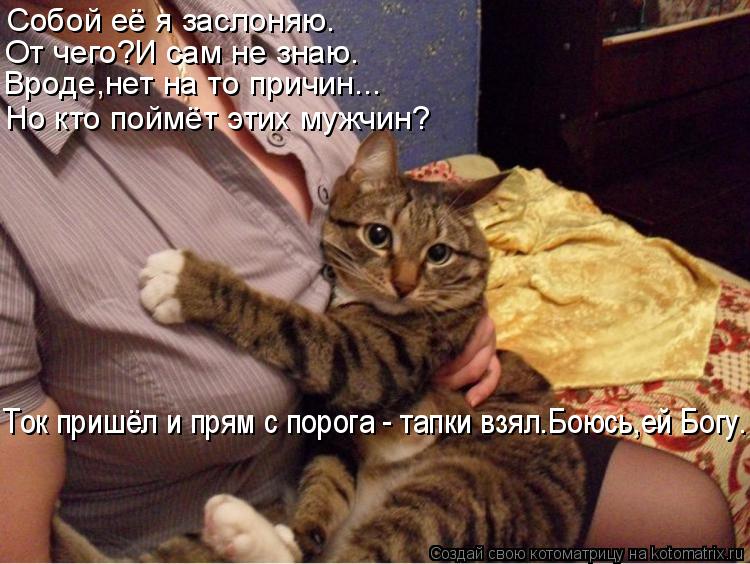 Собой её я заслоняю. От чего?И сам не знаю. Вроде,нет на то причин... Но кто поймёт этих мужчин? Ток ... Котоматрица: Собой её я заслоняю. От чего?И сам не знаю. Вроде,нет на то причин... Но кто поймёт этих мужчин? Ток пришёл и прям с порога - тапки взял.Боюсь,ей