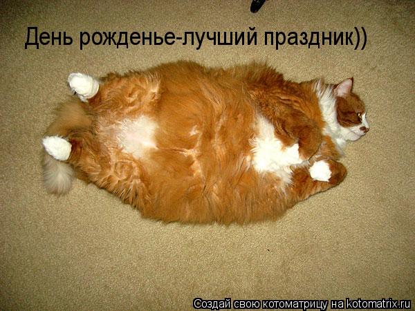 День рожденье-лучший праздник)) День рожденье-лучший праздник))... Котоматрица: День рожденье-лучший праздник)) День рожденье-лучший праздник))
