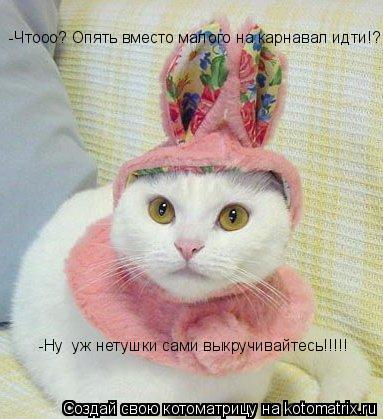 -Чтооо? Опять вместо малого на карнавал идти!? -Ну уж нетушки сами выкручивайтесь!!!!!... Котоматрица: -Чтооо? Опять вместо малого на карнавал идти!? -Ну уж нетушки сами выкручивайтесь!!!!!